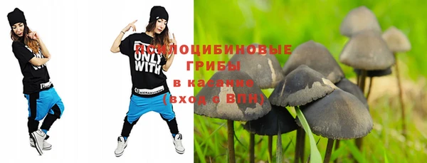 дживик Медвежьегорск