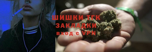 крисы Медногорск