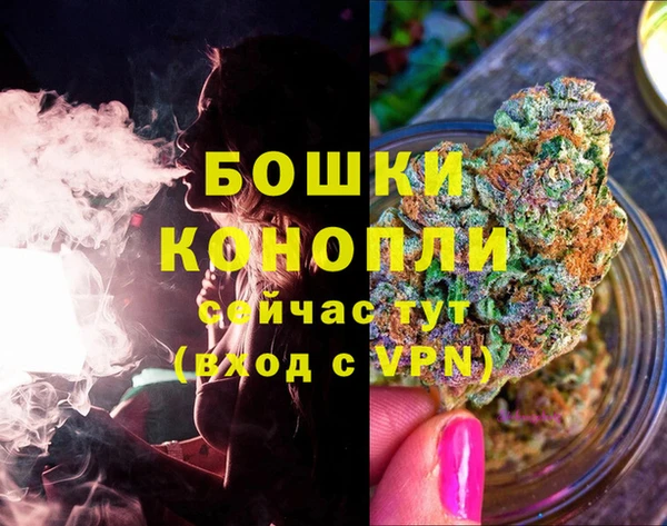 дживик Медвежьегорск