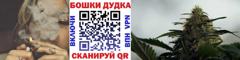 Бошки Шишки марихуана  Гдов 